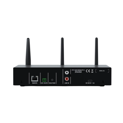 Центральный беспроводной передатчик системы WiLD WiLD-TX